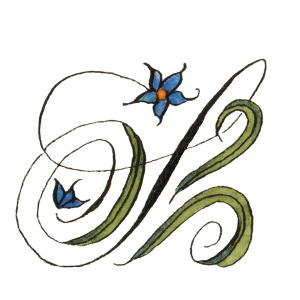 Squill Calligraphy Studio Logo